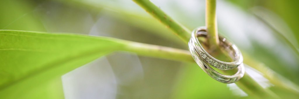 knerkm13's profile banner image
