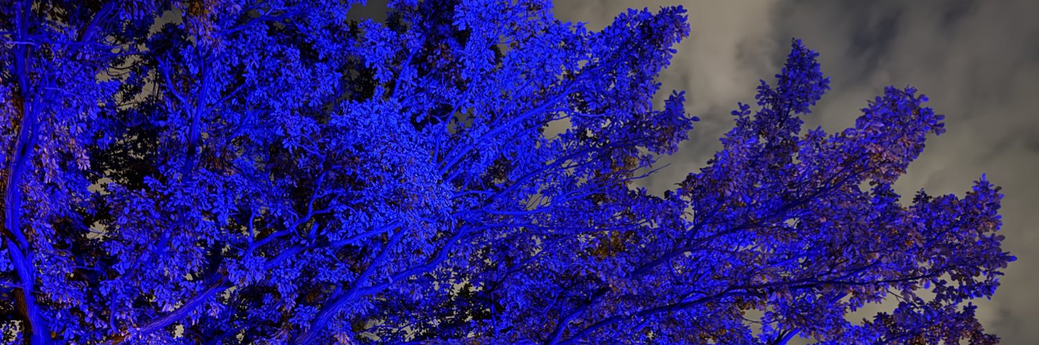 Тыква, которая сияет banner