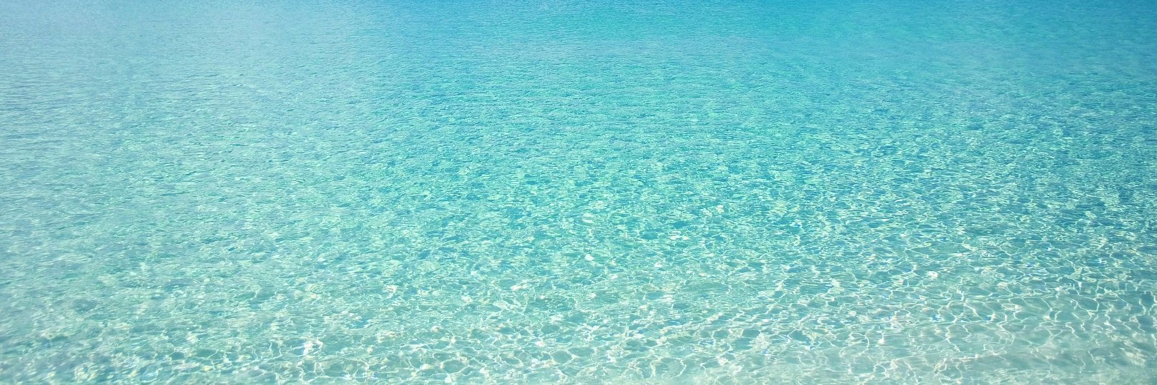 Albert Berlanga banner