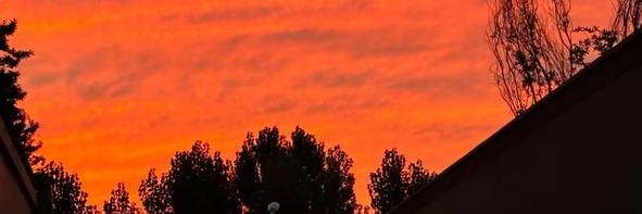 alsmoras2's profile banner image