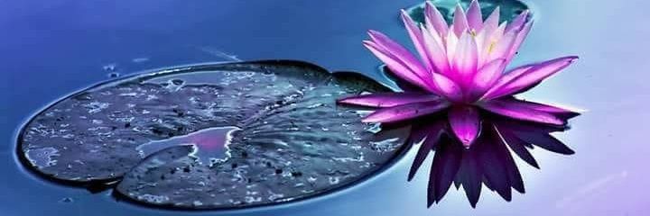 mohamadassayed's profile banner image