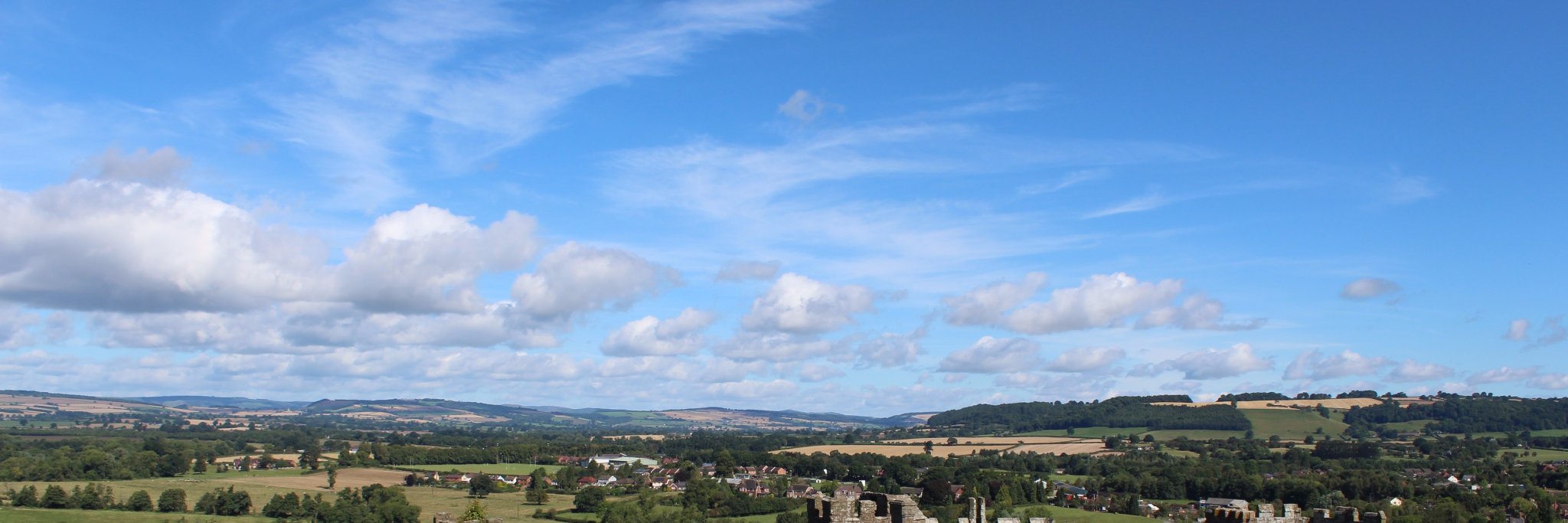 Sarah Edwards banner