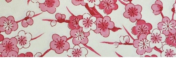EmiliaSgn's profile banner image