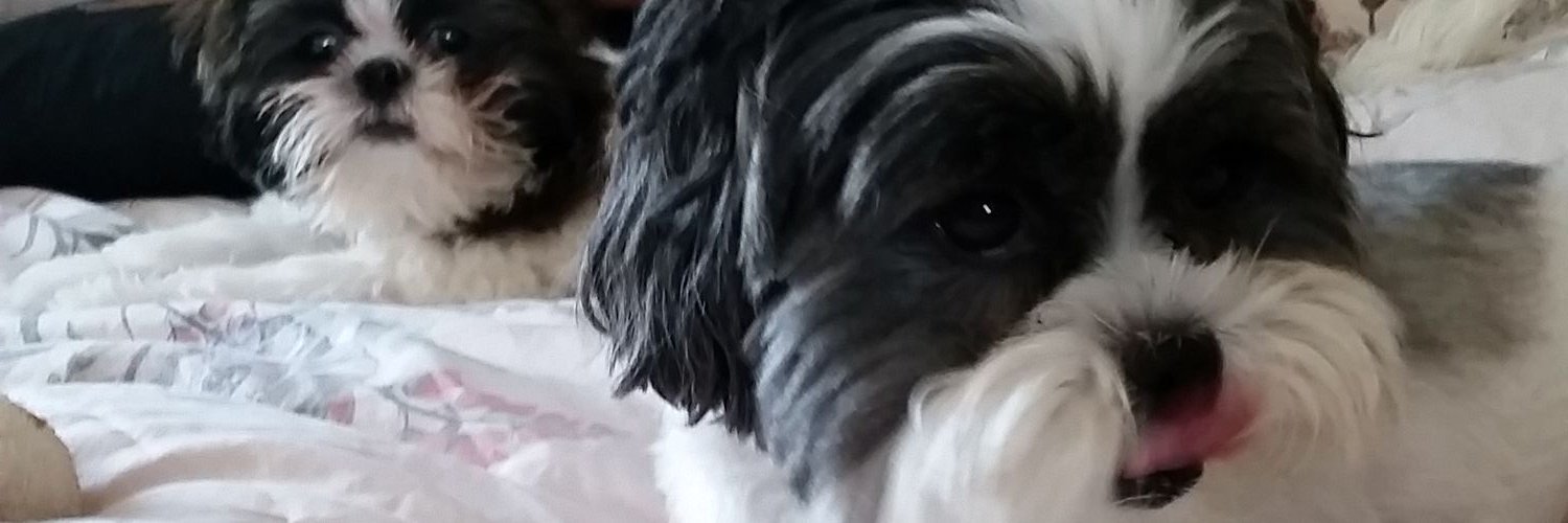 glwigginsau's profile banner image