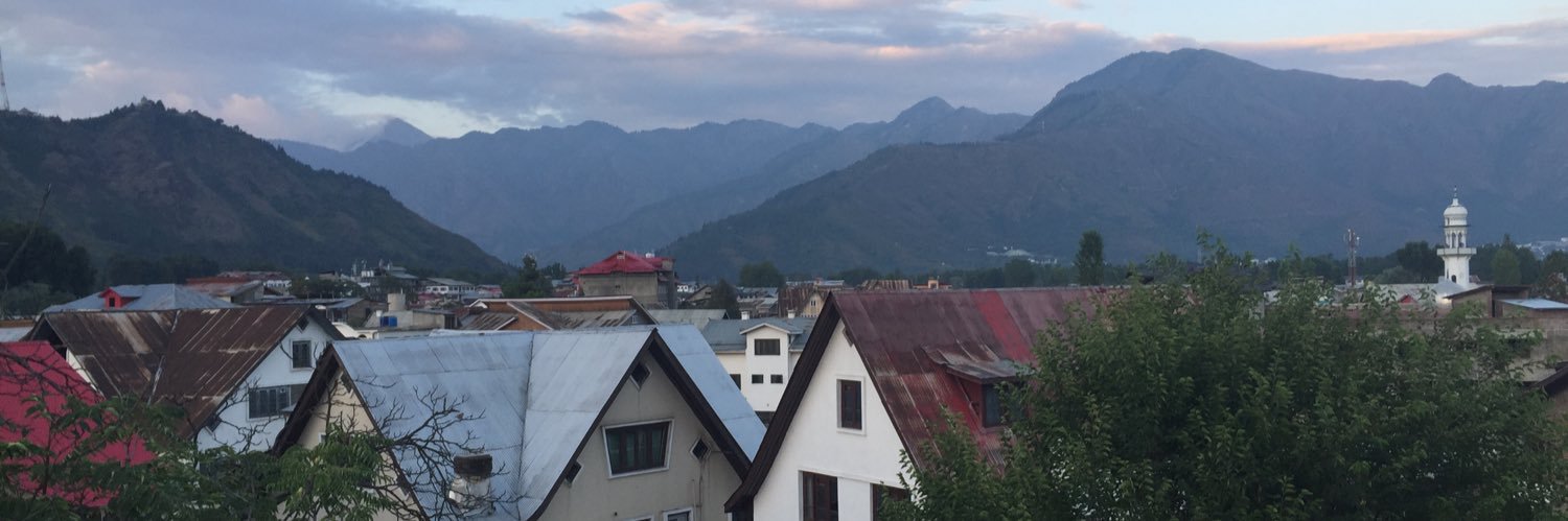 Haley Duschinski banner