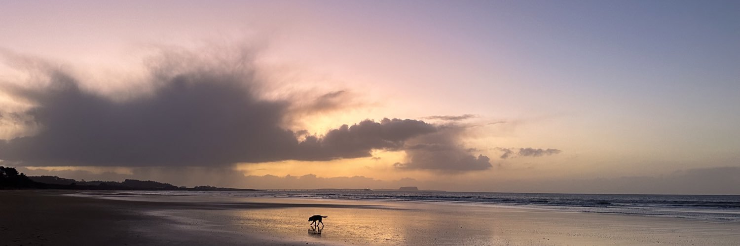 Jenforrr's profile banner image