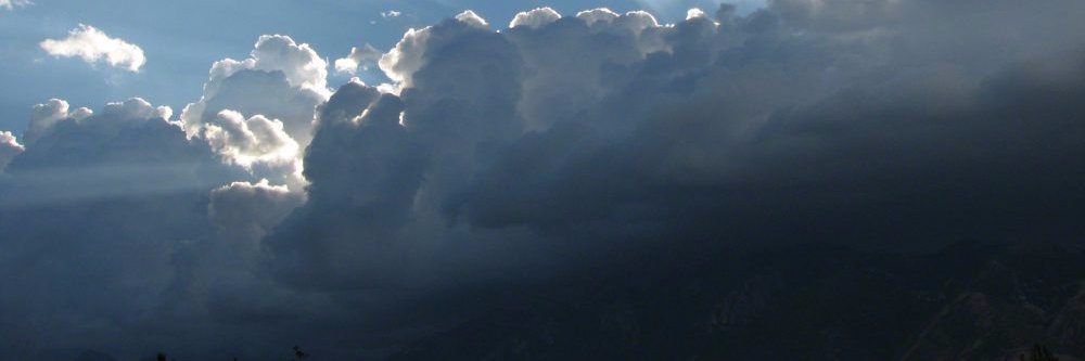 netsrakw's profile banner image