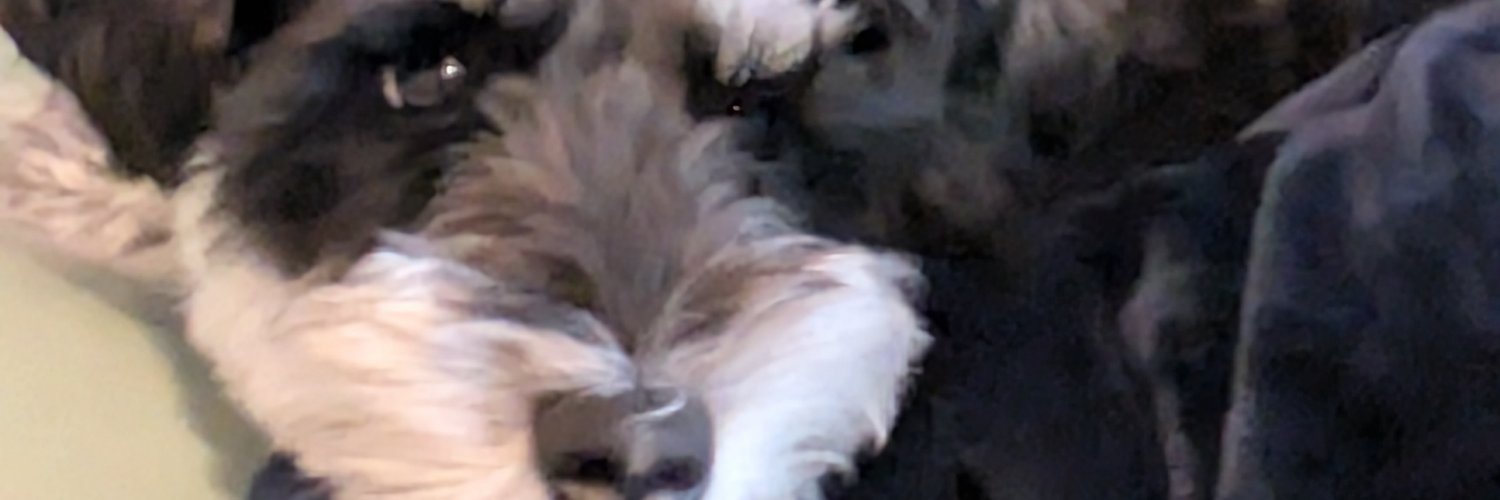 hashin5572's profile banner image