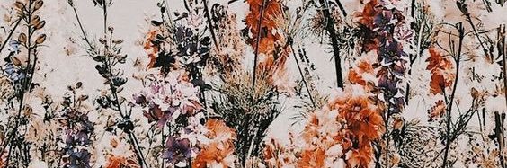 madsgarnett's profile banner image