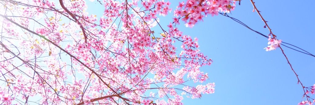 Kun_bas's profile banner image