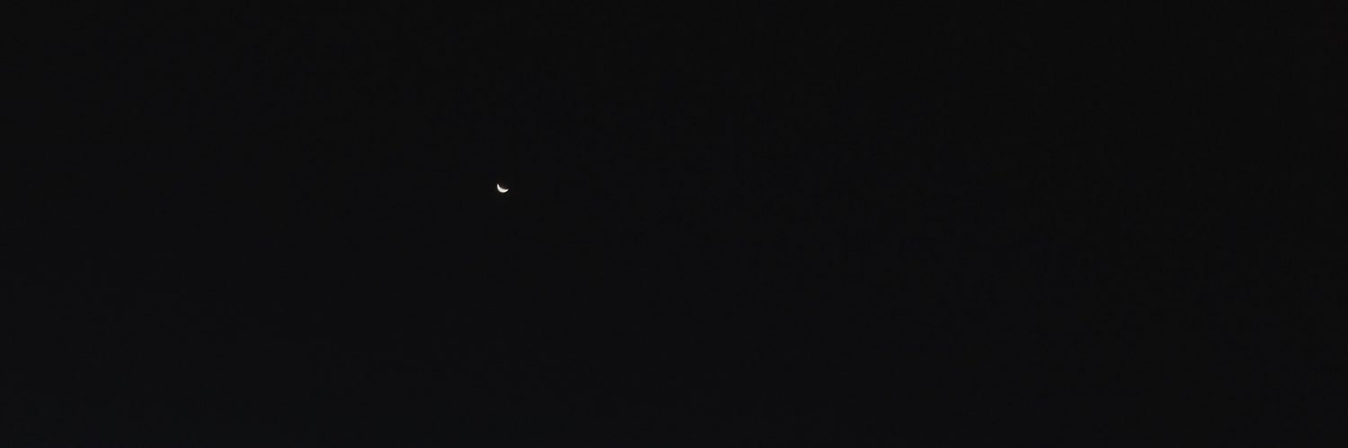 trivulzianus's profile banner image