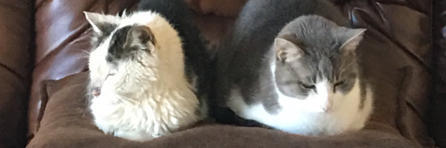 Boris052's profile banner image