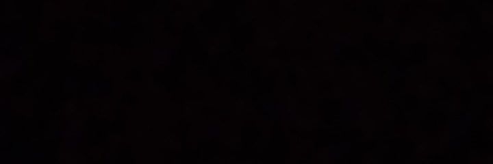 prunuspadus's profile banner image
