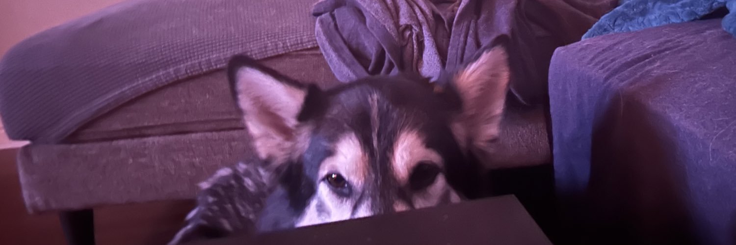 Zellayy's profile banner image