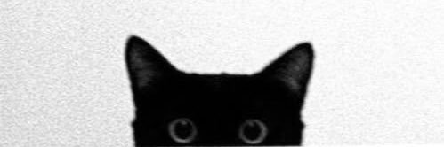 HvbilHvrun's profile banner image