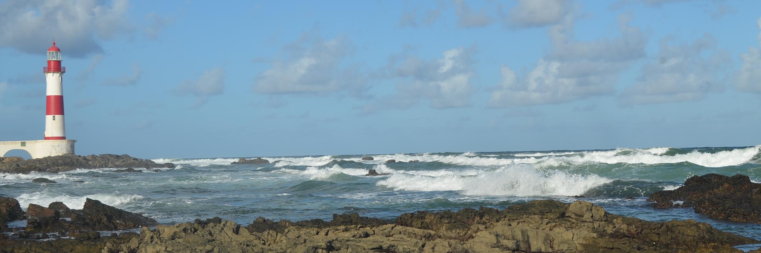 Ju Leonel (she/her) banner