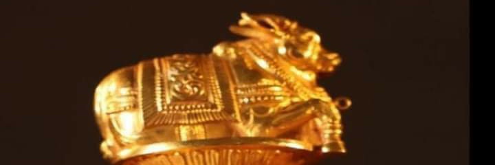 Rish (Modi ka Parivar) banner