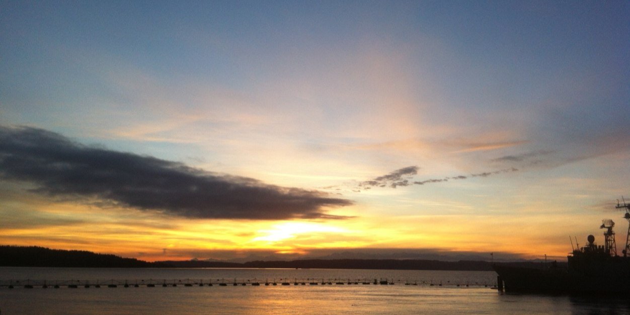 Andrea Driver, NBCT banner