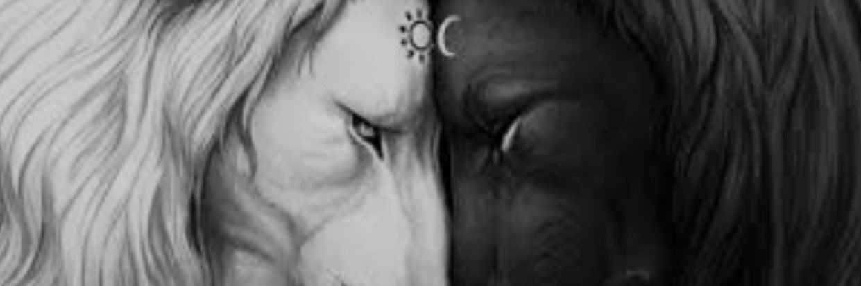 estougabriel's profile banner image