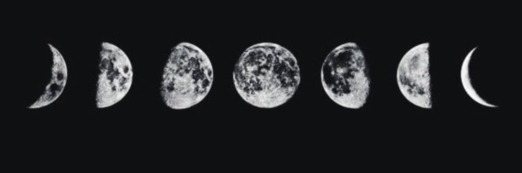Amber Allen banner