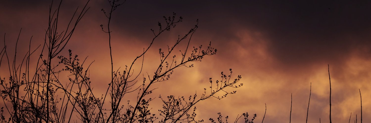 MaureVer's profile banner image