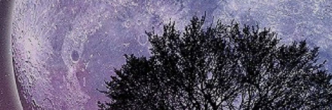 onlythaaiis's profile banner image