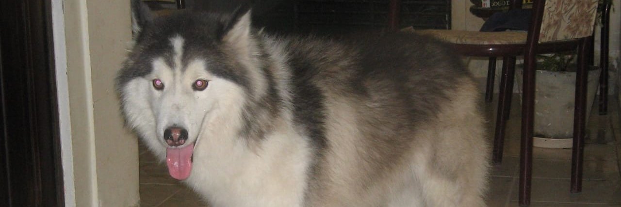arthurlbee's profile banner image