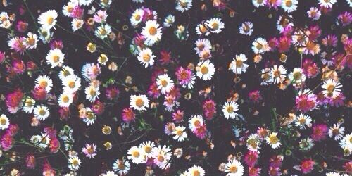 Xx_refah_xx's profile banner image