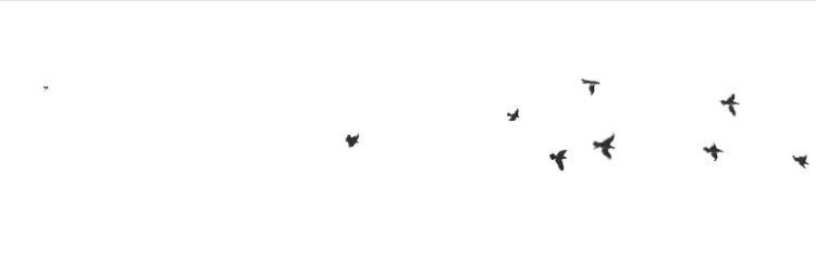 Real_003's profile banner image