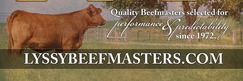 Lyssybeefmaster's profile banner image