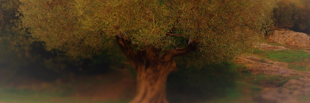 LeboDid's profile banner image