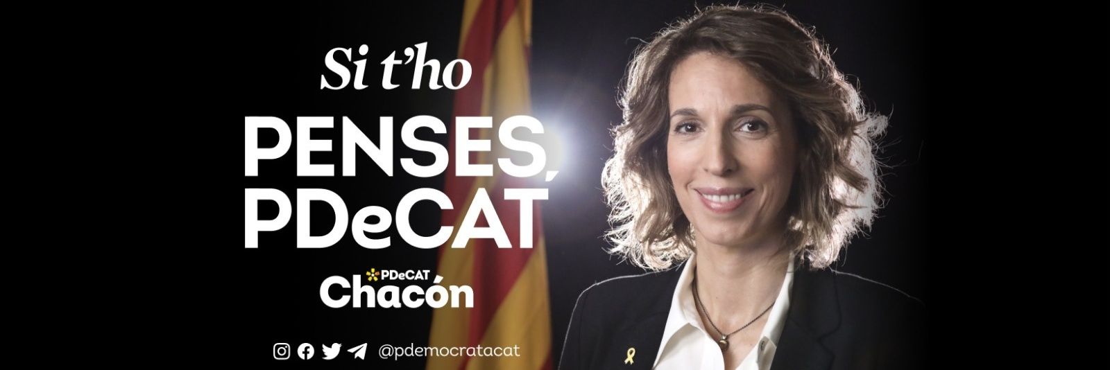 PD_CatCentral's profile banner image
