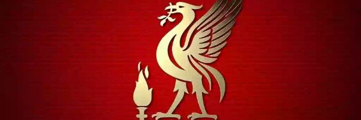 Uzwakele's profile banner image