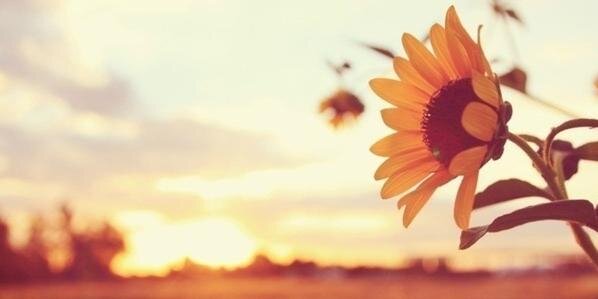 Luchi_Molina's profile banner image