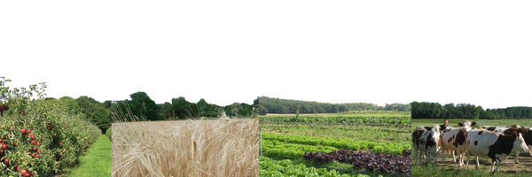 Bioiledefrance Profile Banner