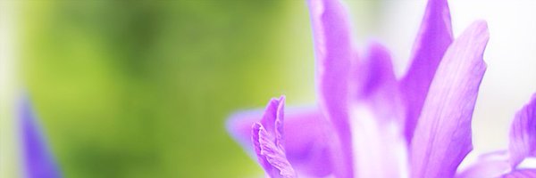 steaker606 Profile Banner