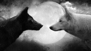 whisper463's profile banner image