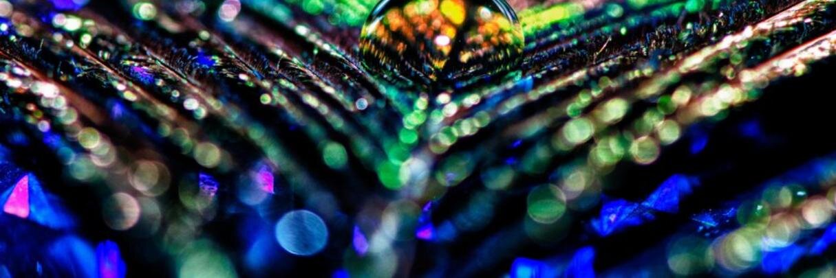 cSPAHR10's profile banner image