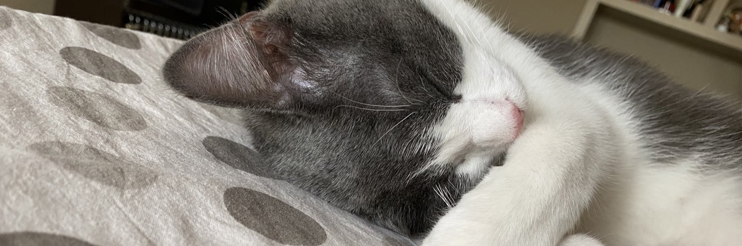 Fiori Nicole Andrea banner