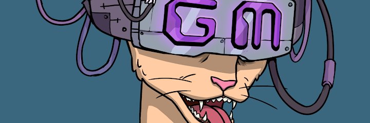Ninicote's profile banner image