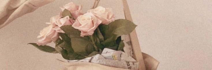 voxmmy's profile banner image