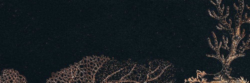 cxcaow's profile banner image
