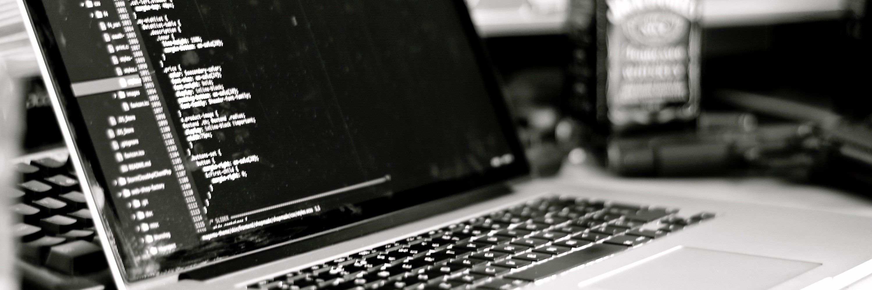 Daniel Wilson banner