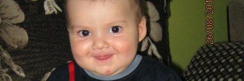 elif şahin banner