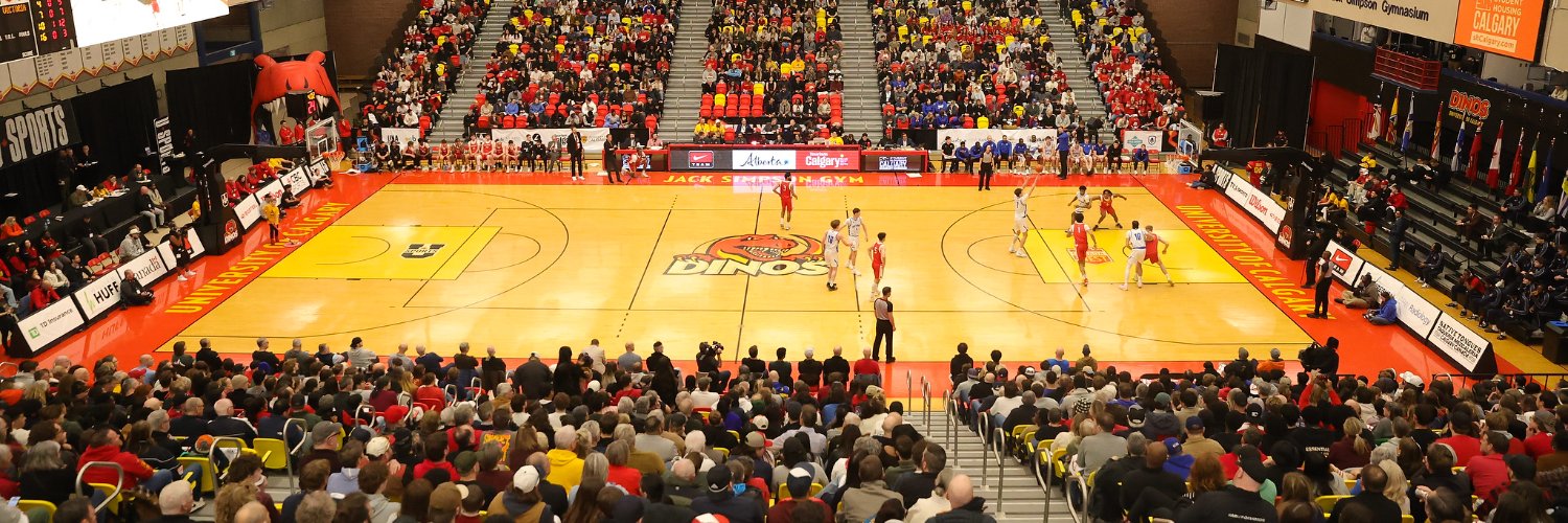UCalgary Dinos banner