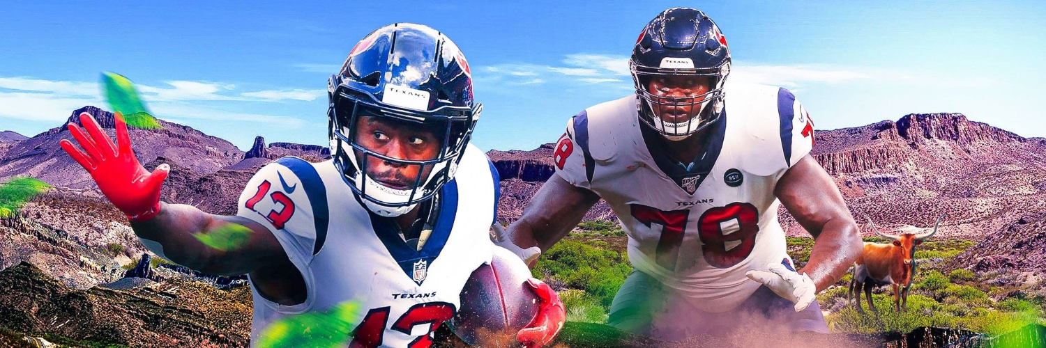 Texans Nation banner