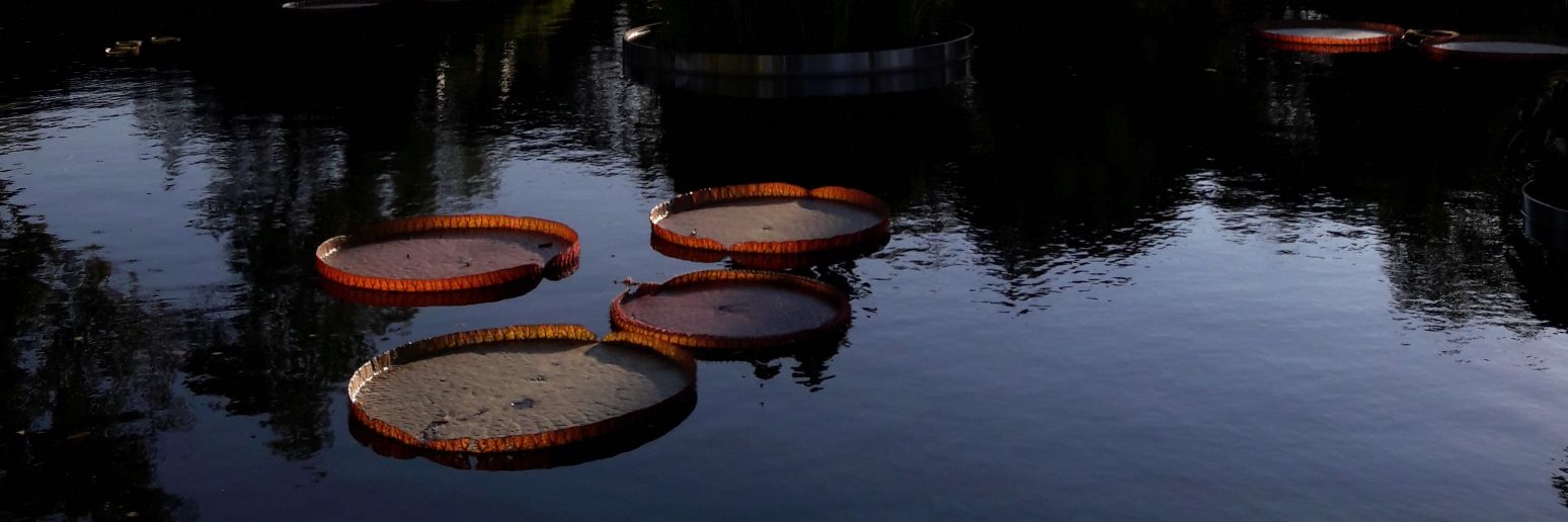 Inti García Santamaría banner