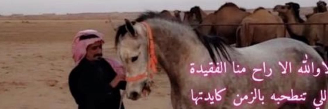 ابو نواف المخرشي banner