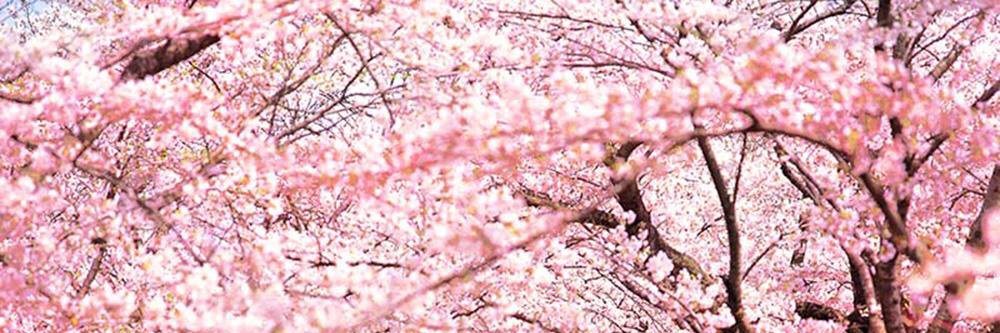 DestineeYates's profile banner image