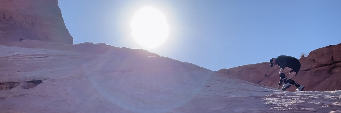 Scott Davidson banner